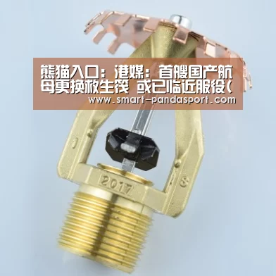 熊猫入口：港媒：首艘国产航母更换救生筏 或已临近服役(图)