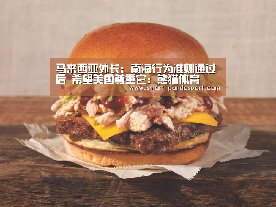 马来西亚外长:南海行为准则通过后 希望美国尊重它:熊猫体育(图2) 熊猫体育官网