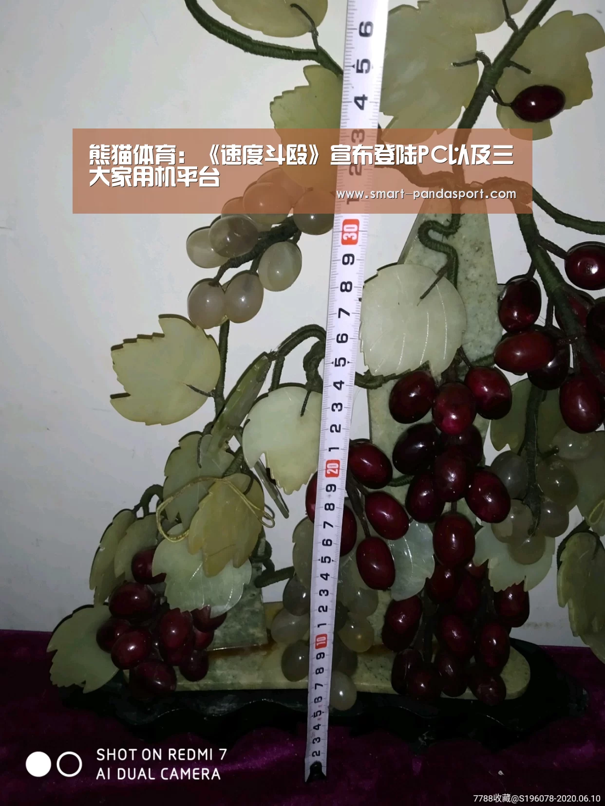 熊猫体育官网