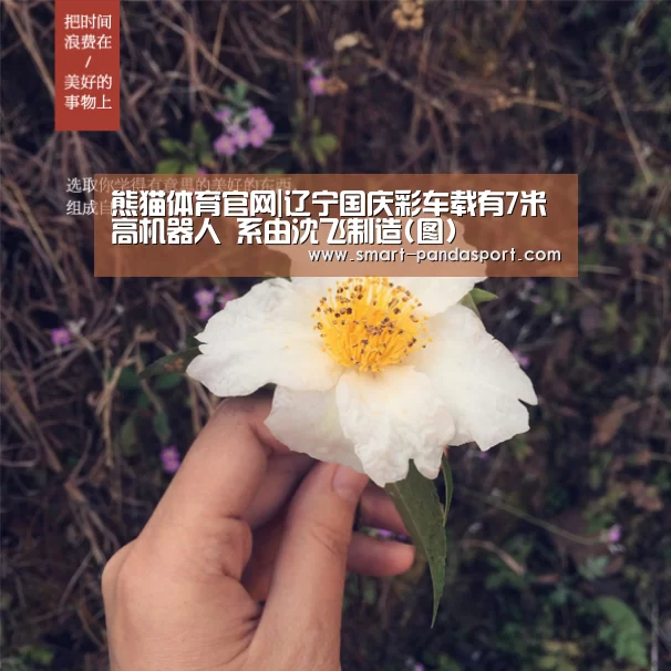 熊猫体育